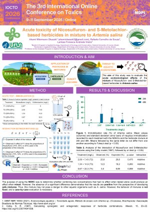 IOCTO 2026 Conference - Akemi Wiermann Okazaki.pdf